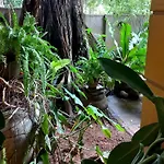 Lumbini Home Stay