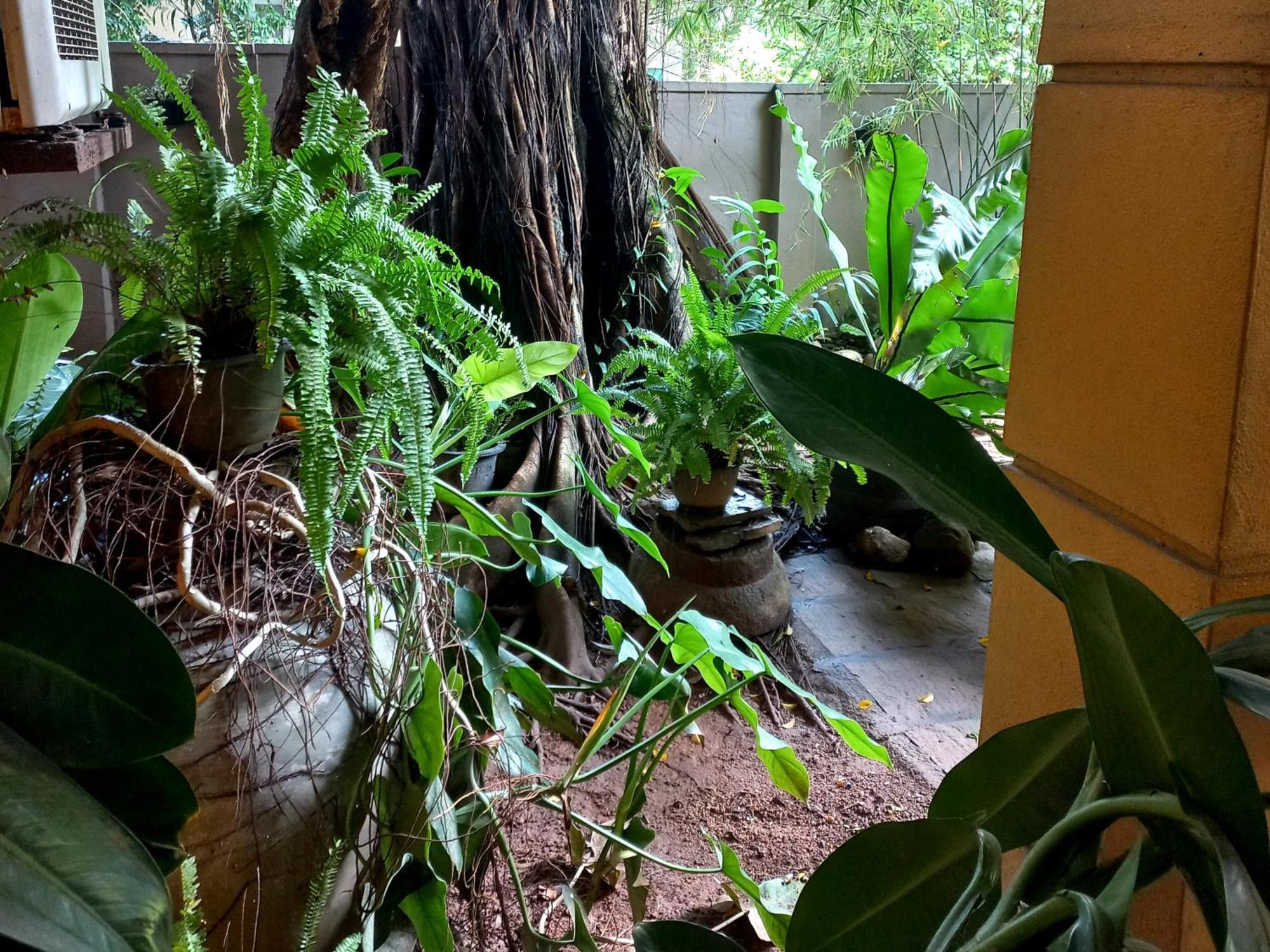 Séjour chez l'habitant Lumbini